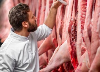 শূকরের চর্বিযুক্ত খাবার চেনার সহজ উপায়